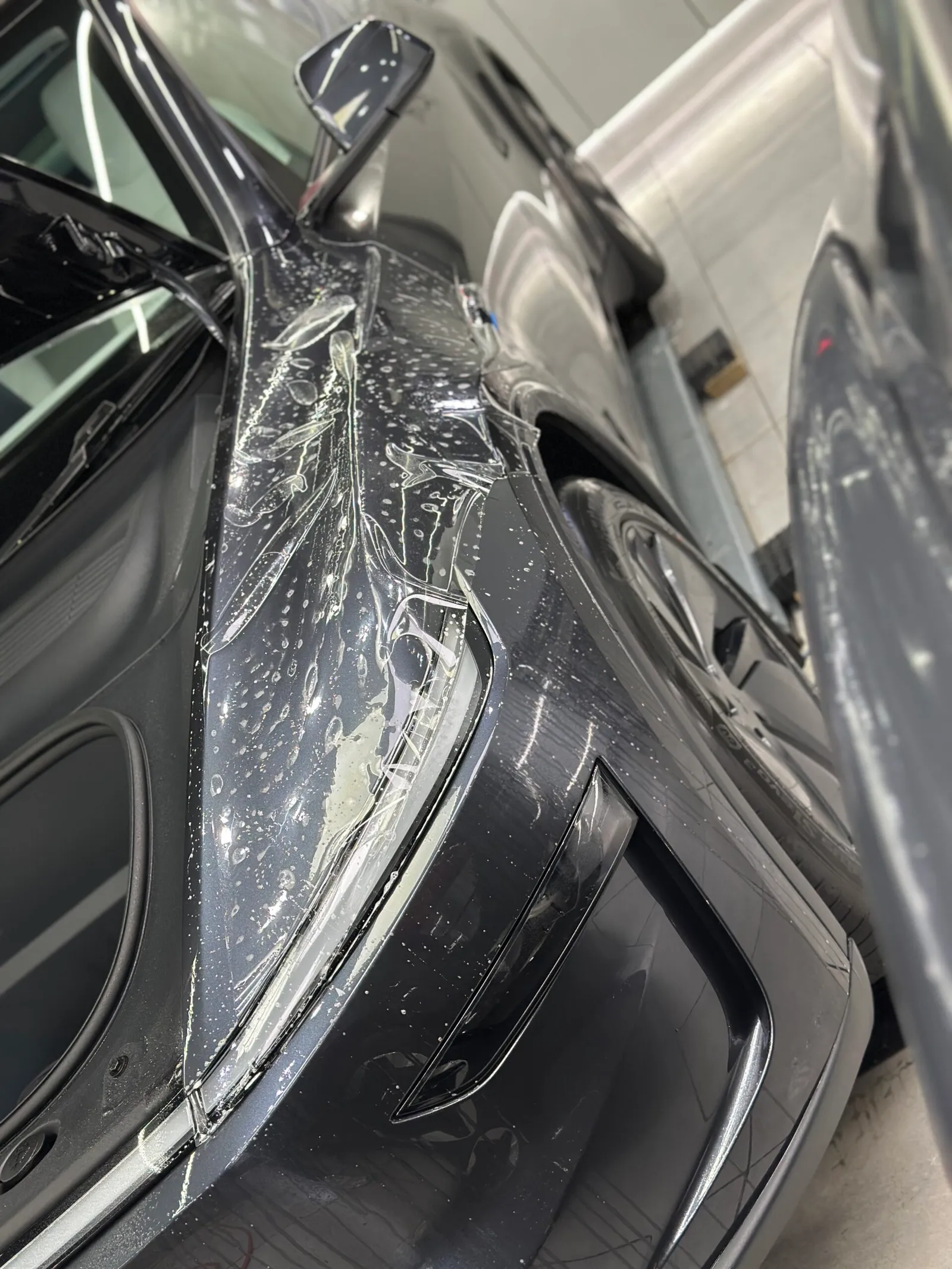 PPF New Model Y